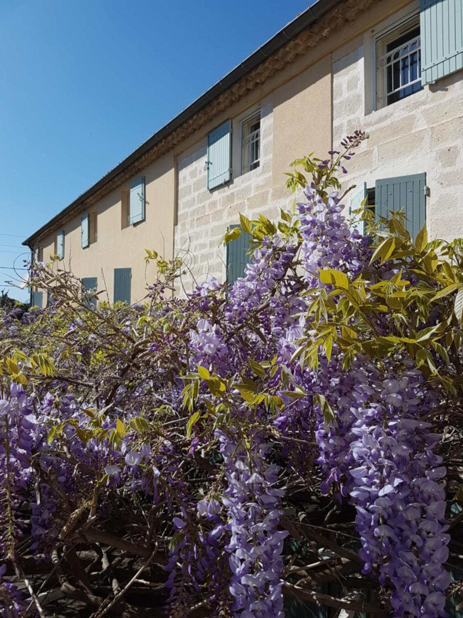 Logis Hotel La Ferme Avignon Exterior photo